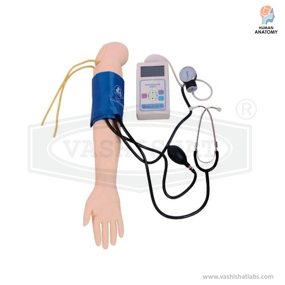  Blood Pressure Training Arm Model 